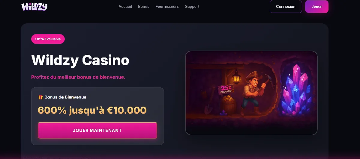 Page d'accueil de Wildzy, casino dépôt minimum 10 euros